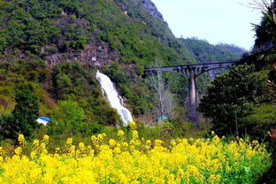远安旅游景点大全,远安旅游景点大全排名