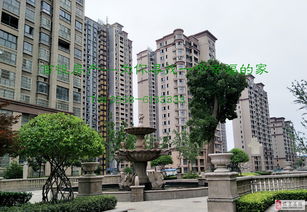 香林世纪华府小区,龙岗香林世纪华府多少钱
