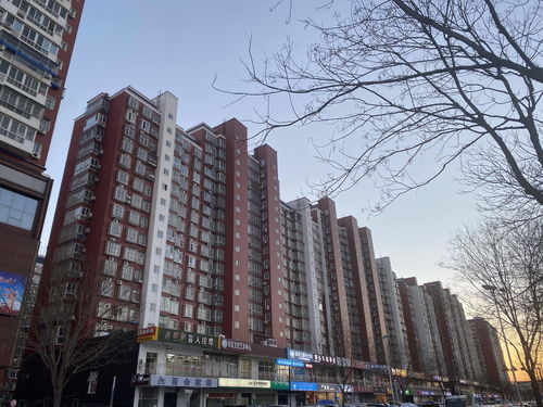 北京东景苑属于哪个社区,北京东景苑属于哪个社区居委会