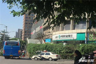渝北棕榈泉附近租房,渝北棕榈泉房价