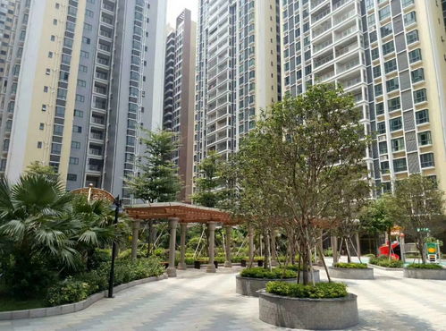 深圳花园小产权房,深圳小产权房价