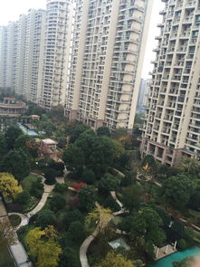 绿都湖滨花园多少户,绿都湖滨花园房价走势