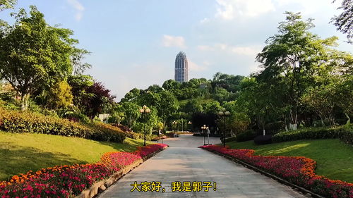 重庆市大足区房产信息网,重庆市大足区房产信息网查询