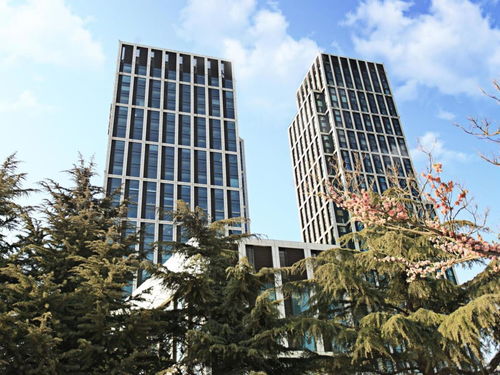 泰达青筑酒店公寓,泰达青筑酒店公寓怎么样