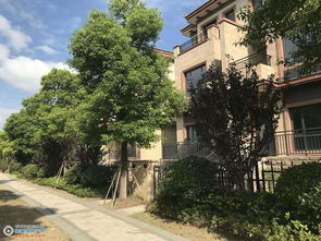 镜湖花园,镜湖花园酒店地址