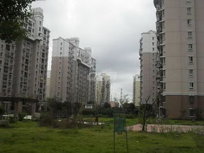 上海上海家园房价,上海家园租房
