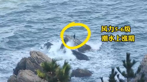 烟台潮汐,烟台潮汐表查询 今日