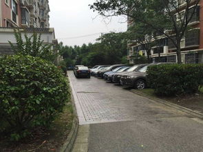 上海大宁歌林春天,大宁歌林春天好不好