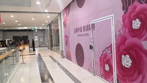 哈尔滨麦凯乐,哈尔滨麦凯乐国际公寓房价