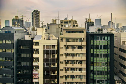 泰兴市新建商品房网上交易平台,泰兴市新建商品房网上交易平台电话