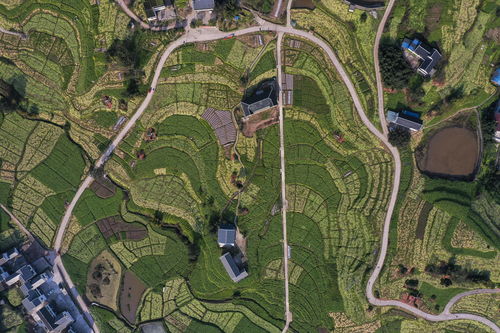 重庆涪陵区属于哪个市,重庆涪陵区属于哪个市区