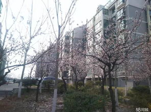 中大凤栖花园,中大凤栖花园属于什么街道