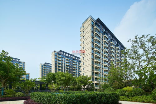 松江大学城是几本,松江大学城百科