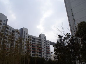 富力城c区房价多少钱,富力城c区房价多少钱一平