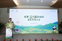 成都旅游门户网站,成都旅游官网app