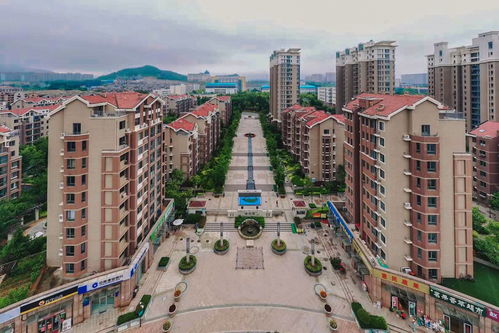 虹景家苑属于哪个街道,虹景家苑属于哪个街道办事处