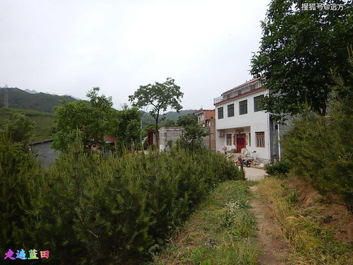 南庄村属于哪个镇,平度南庄村属于哪个镇