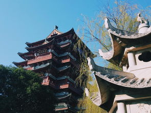 才子城电话,才子城属于哪个街道