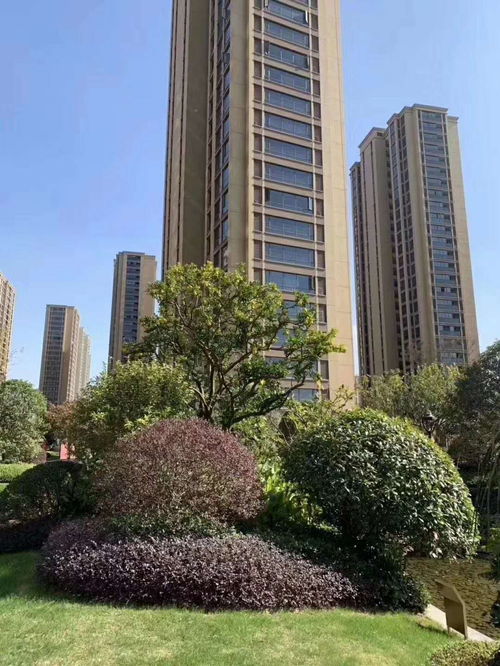 江西泰和南方花园房价,泰和南方花园交房时间