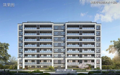 金港华庭这个楼盘怎么样,金港华庭多少户