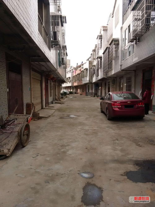 邱县枫林湾房屋出售,任丘枫林小区是几几年房啊