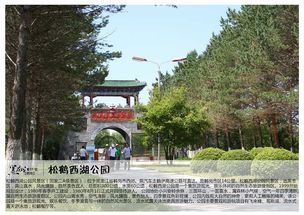 鹤岗市旅游景点,鹤岗市旅游景点有哪些