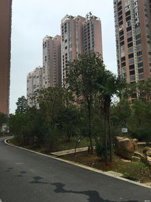 洪泽区杨码小区房屋出售,洪泽杨码社区电话