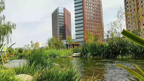 北京青龙湖附近楼盘,北京青龙湖附近楼盘进水了吗