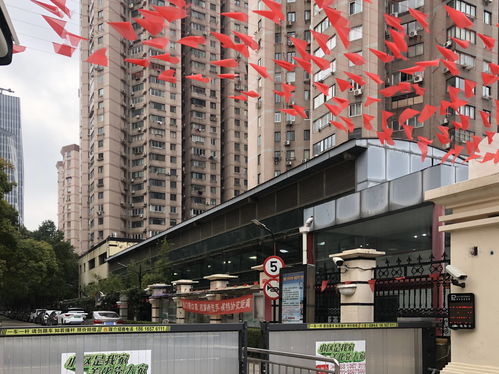 野风现代中心属于什么街道,野风现代中心是住宅吗