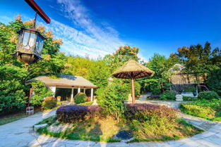 芳草园温泉门票多少钱,芳草园酒店公寓
