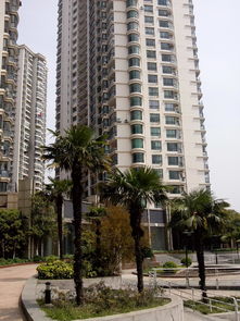 上海彩虹湾四期房价,上海彩虹湾小区在哪