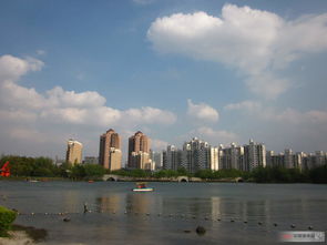 大宁绿地白沙滩,大宁绿地白沙滩最新消息