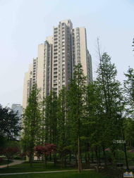 南京江宁龙湖水晶郦城最新,南京龙湖水晶郦城在哪里