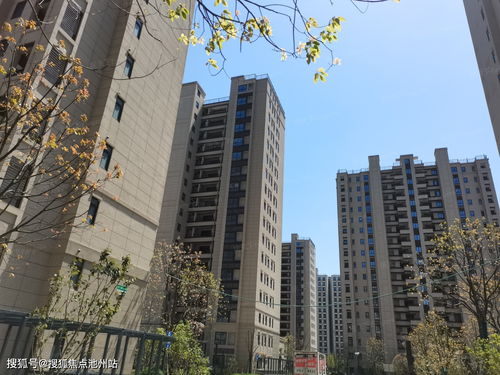 姜山镇都市华庭幼儿园,都市华庭幼儿园电话