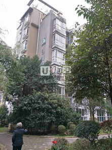 罗山县香江花园,罗山县香江花园二手房