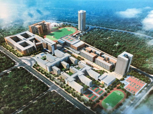青岛新港报关学院官网,青岛新港报关学院官网电话