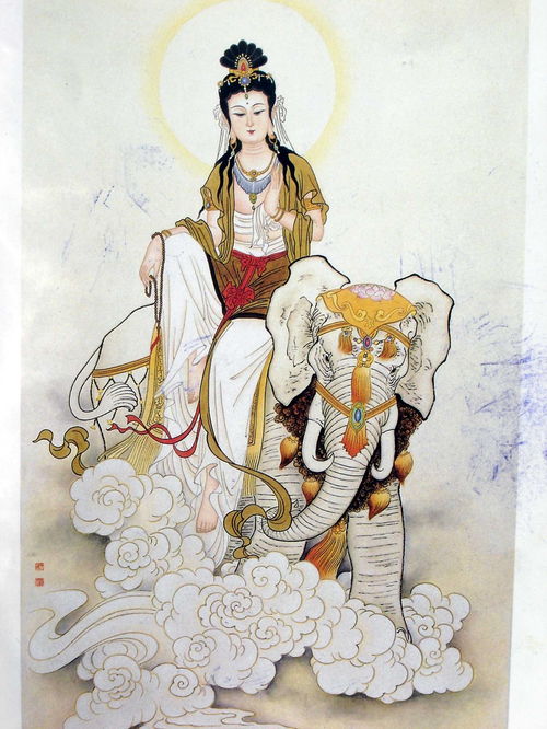 普贤王菩萨象驾光临,普贤菩萨骑象