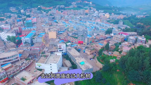 诸暨枫桥镇房价走势,诸暨枫桥镇房价走势分析