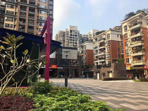 鸣翠花园接种点,鸣翠花园接种点在哪
