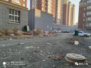 金地小区属于哪个社区,金地小区属于哪个社区管