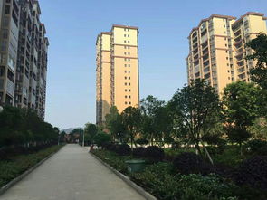 天水春风小区,天水春风小区拆迁 2022年