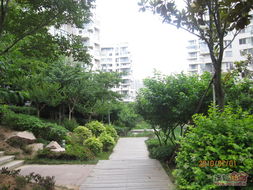 青岛鲁信长春花园属于什么街道,鲁信长春花园地址在哪
