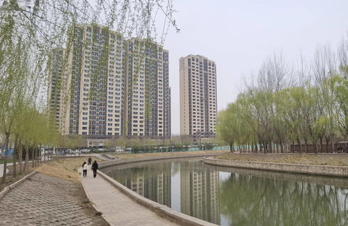 邯郸枫丹白露属于哪个区,邯郸枫丹白露小区民宿