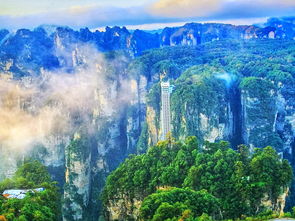 张家界旅游攻略自助游攻略,张家界旅游攻略旅游路线