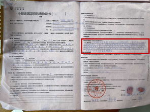 房产五证两书一表,房屋五证两书一表