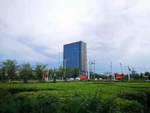 沧州房产搜狐,沧州房产网信息网发布信息