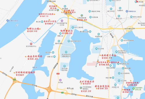 白沙洲现在房价是多少,白沙洲那边的房价现在怎么样了