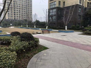常州保利公园九里属于哪个街道,常州保利公园九里属于哪个街道办事处
