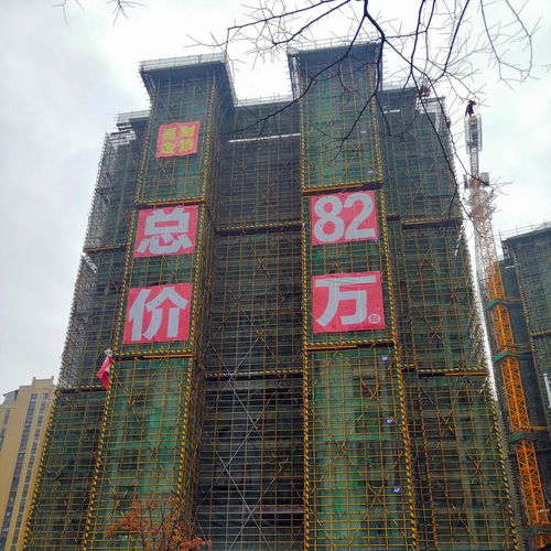 楼盘外墙网格字,外墙网格布施工图片