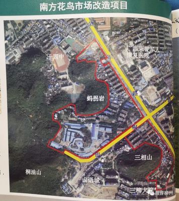 柳州鱼峰区新楼盘,柳州鱼峰区新楼盘出售信息